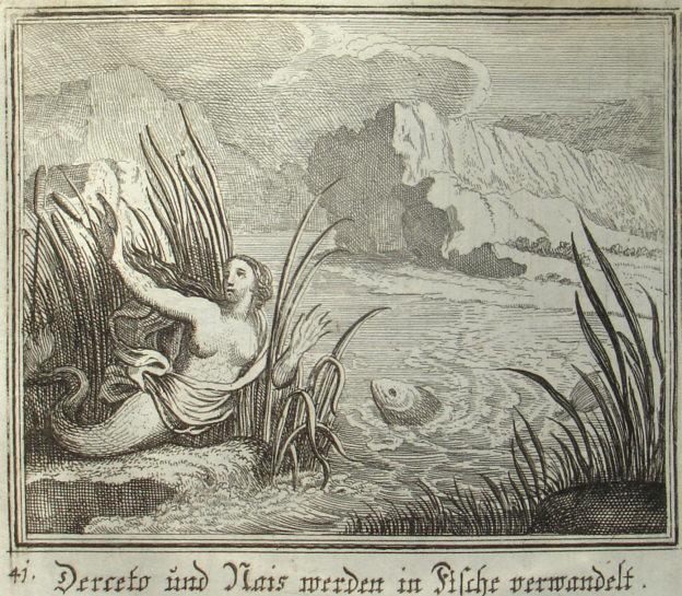 Dercetis... versa 